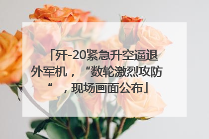 歼-20紧急升空逼退外军机，“数轮激烈攻防”，现场画面公布