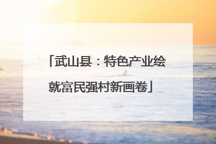武山县：特色产业绘就富民强村新画卷