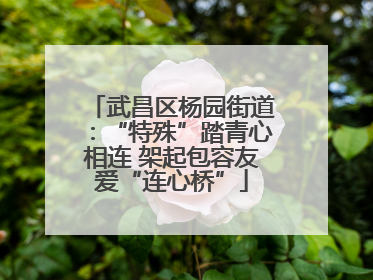 武昌区杨园街道：“特殊”踏青心相连 架起包容友爱“连心桥”