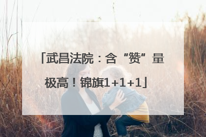 武昌法院：含“赞”量极高！锦旗1+1+1