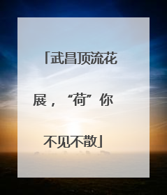 武昌顶流花展，“荷”你不见不散