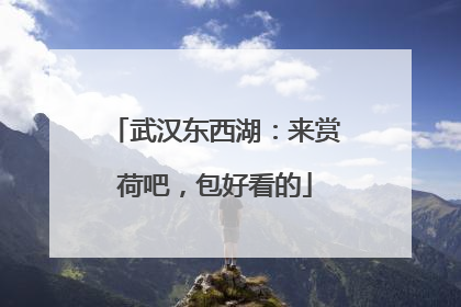 武汉东西湖：来赏荷吧，包好看的