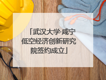 武汉大学·咸宁低空经济创新研究院签约成立