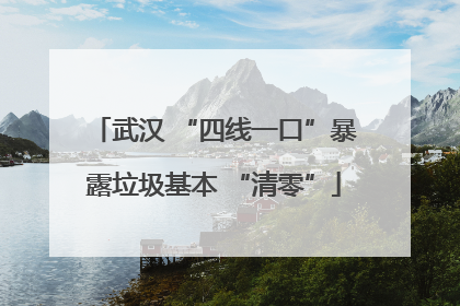 武汉 “四线一口”暴露垃圾基本 “清零”