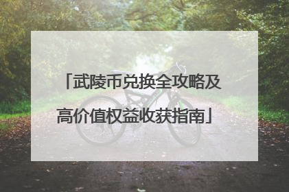 武陵币兑换全攻略及高价值权益收获指南