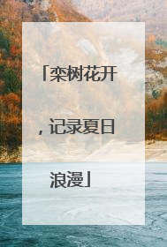 栾树花开，记录夏日浪漫