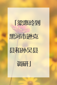梁惠玲到黑河市逊克县和孙吴县调研