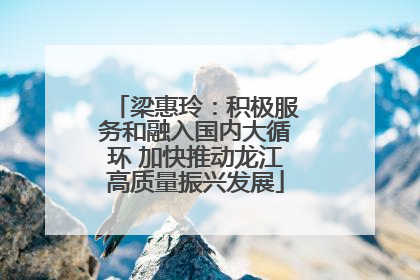 梁惠玲：积极服务和融入国内大循环 加快推动龙江高质量振兴发展