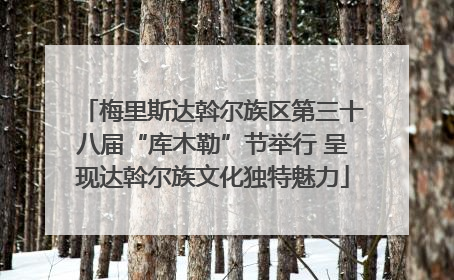 梅里斯达斡尔族区第三十八届“库木勒”节举行 呈现达斡尔族文化独特魅力