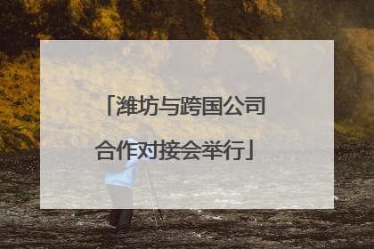 潍坊与跨国公司合作对接会举行