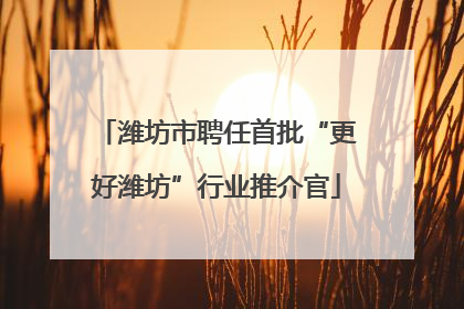 潍坊市聘任首批“更好潍坊”行业推介官