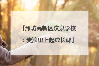 潍坊高新区汶泉学校：麦浪里上起成长课