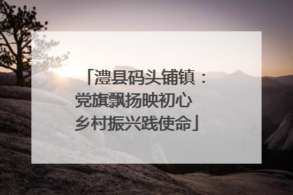 澧县码头铺镇：党旗飘扬映初心 乡村振兴践使命
