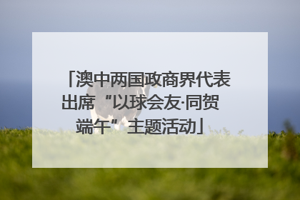 澳中两国政商界代表出席“以球会友·同贺端午”主题活动