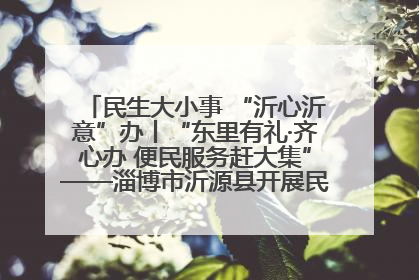 民生大小事 “沂心沂意”办丨“东里有礼·齐心办 便民服务赶大集”——淄博市沂源县开展民生政策宣传活动