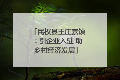 民权县王庄寨镇：引企业入驻 助乡村经济发展