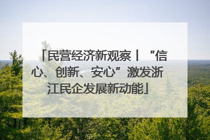 民营经济新观察丨“信心、创新、安心”激发浙江民企发展新动能