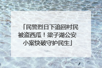 民警烈日下追回村民被盗西瓜！梁子湖公安小案快破守护民生