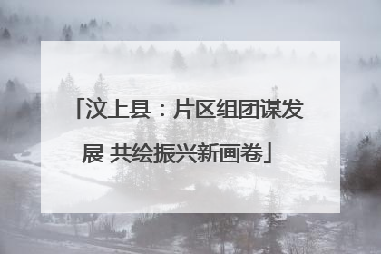 汶上县：片区组团谋发展 共绘振兴新画卷