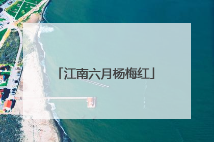 江南六月杨梅红
