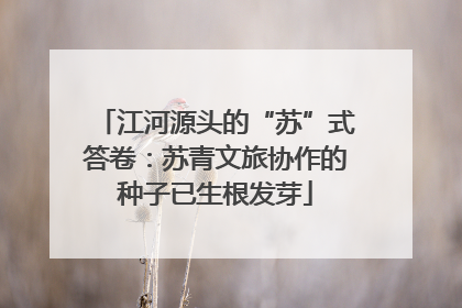江河源头的“苏”式答卷：苏青文旅协作的种子已生根发芽