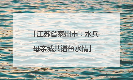 江苏省泰州市：水兵母亲城共谱鱼水情