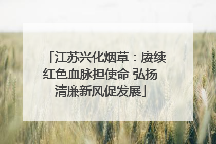 江苏兴化烟草：赓续红色血脉担使命 弘扬清廉新风促发展