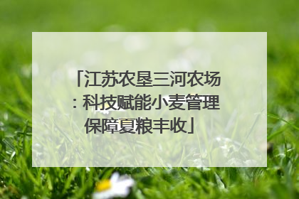 江苏农垦三河农场：科技赋能小麦管理保障夏粮丰收