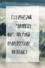 江西石城：“放蜂治蚜”助力绿色防控与农业发展