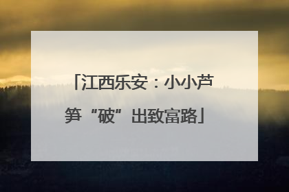 江西乐安：小小芦笋“破”出致富路