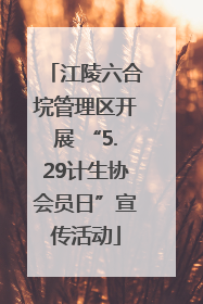 江陵六合垸管理区开展 “5.29计生协会员日”宣传活动
