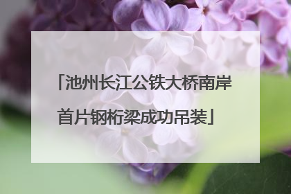 池州长江公铁大桥南岸首片钢桁梁成功吊装