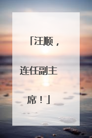 汪顺，连任副主席！