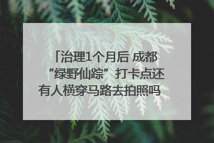 治理1个月后 成都“绿野仙踪”打卡点还有人横穿马路去拍照吗？｜民情瞭望