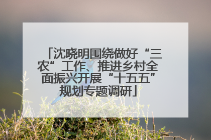 沈晓明围绕做好“三农”工作、推进乡村全面振兴开展“十五五”规划专题调研