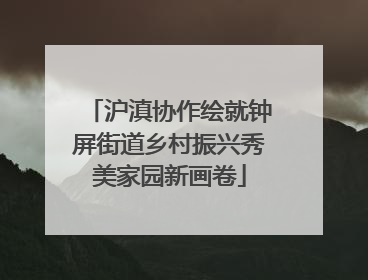 沪滇协作绘就钟屏街道乡村振兴秀美家园新画卷
