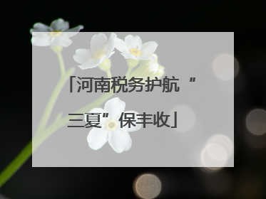 河南税务护航“三夏”保丰收