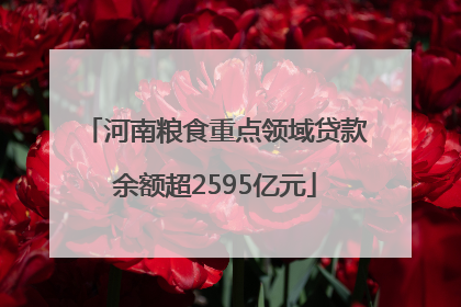 河南粮食重点领域贷款余额超2595亿元