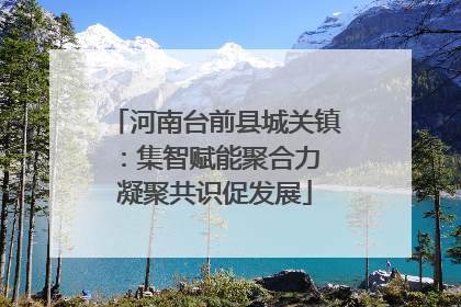 河南台前县城关镇：集智赋能聚合力 凝聚共识促发展