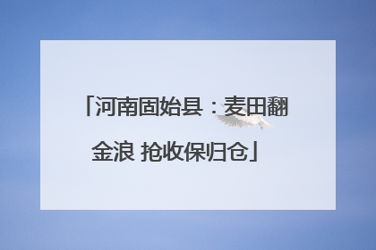 河南固始县：麦田翻金浪 抢收保归仓