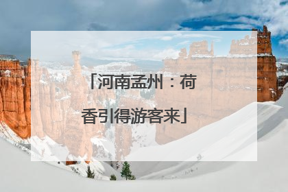 河南孟州：荷香引得游客来