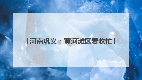 河南巩义：黄河滩区麦收忙