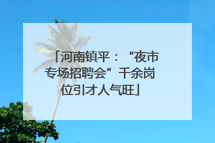 河南镇平：“夜市专场招聘会”千余岗位引才人气旺