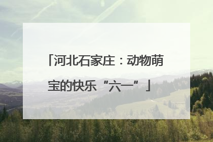 河北石家庄：动物萌宝的快乐“六一”