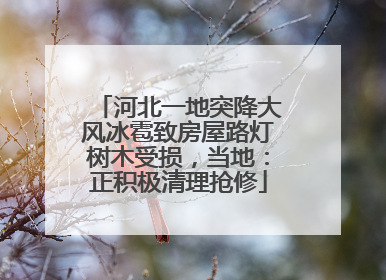 河北一地突降大风冰雹致房屋路灯树木受损，当地：正积极清理抢修