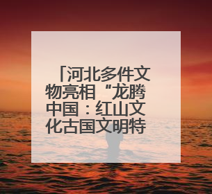 河北多件文物亮相“龙腾中国：红山文化古国文明特展”