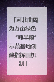 河北曲周为万亩绿色“吨半粮”示范基地创建指挥田机制