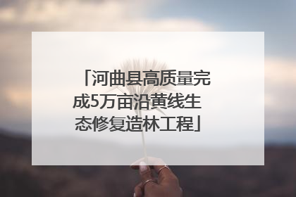 河曲县高质量完成5万亩沿黄线生态修复造林工程