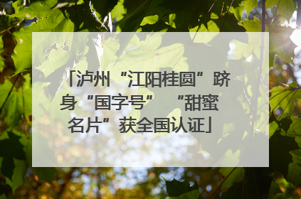 泸州“江阳桂圆”跻身“国字号” “甜蜜名片”获全国认证