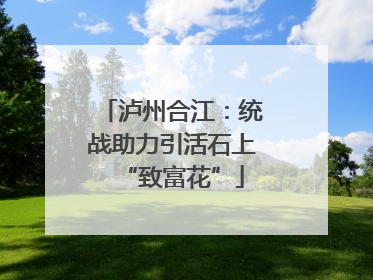 泸州合江：统战助力引活石上“致富花”
